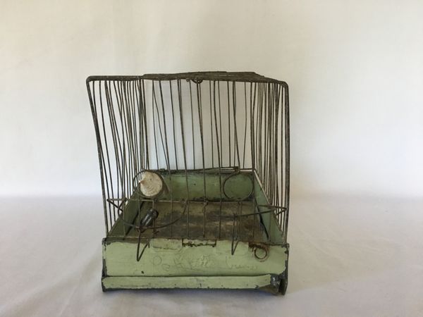 Lite Fuglebur i blikk