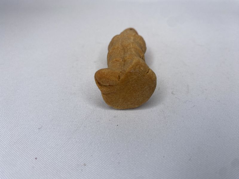 Forstenet marsipannisse